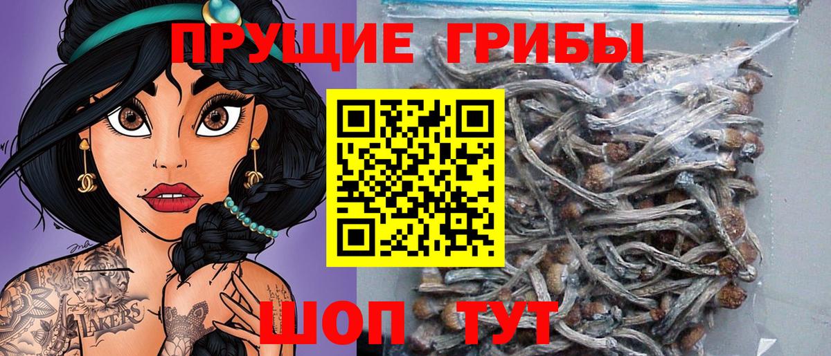Галлюциногенные грибы Magic Shrooms  Вход с VPN  Псилоцибиновые грибы Magic Shrooms  Добрянка 