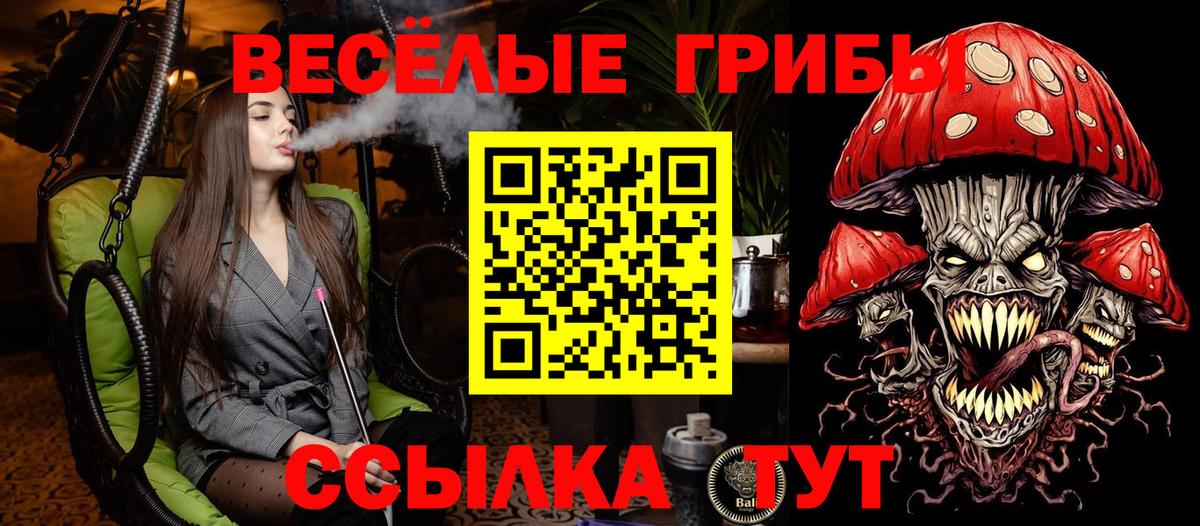 Псилоцибиновые грибы мицелий Добрянка